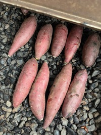 じっくり焼いています。