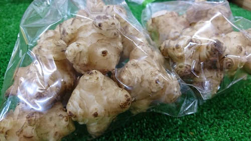 お探しの方いませんか? お探しの方いませんか?