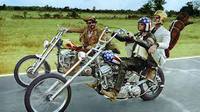 Born To Be Wild 2020/12/24 10:22:51