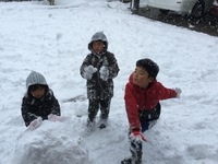 明日の営業につきまして 2016/01/24 20:54:13