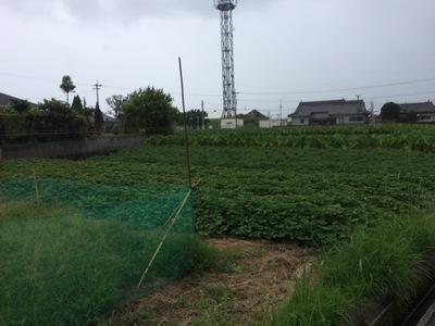 力を発揮すること 力を発揮すること