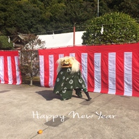 今年もよろしくお願いします
