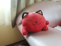 我が家の猫 2015/12/04 08:49:13