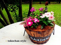 ＣｉａｏＧａｒｄｅｎ・ｔｏｋｏちゃん。 2015/06/19 22:28:06