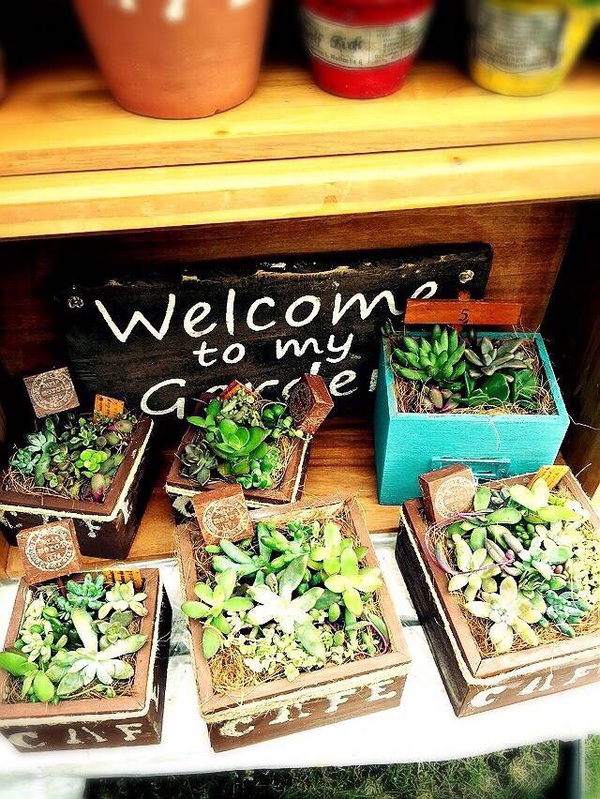 ciao garden よっちグリーン ciao garden よっちグリーン