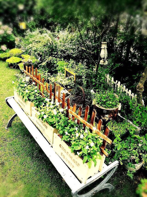 ciao garden よっちグリーン ciao garden よっちグリーン