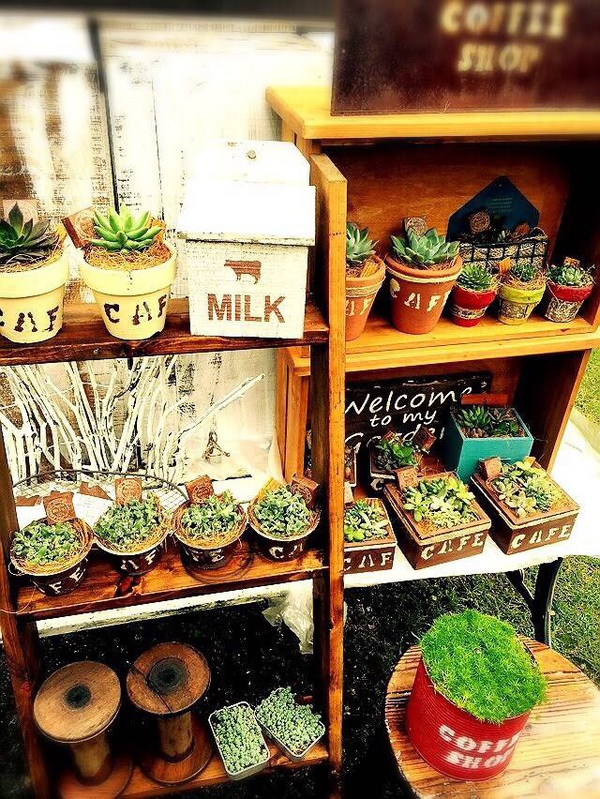 ciao garden よっちグリーン ciao garden よっちグリーン