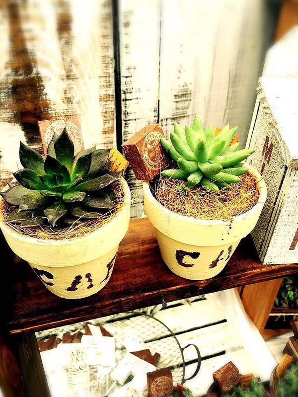 ciao garden よっちグリーン ciao garden よっちグリーン