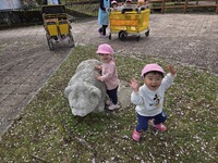 4月21日の記事