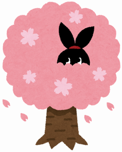 お花見 お花見