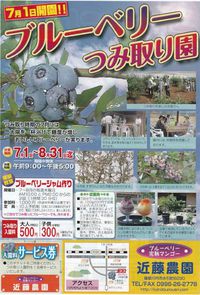 ブルーベリーつみ取り園開園中 2016/07/07 07:00:04