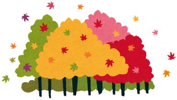 紅葉した森 紅葉した森