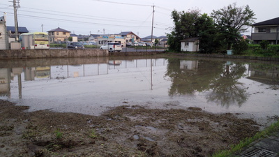 田んぼ?畑? 田んぼ?畑?
