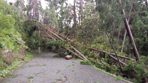 台風15号 台風15号
