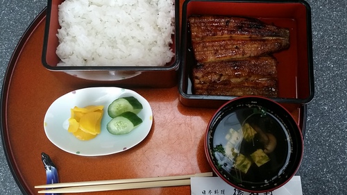 ｳﾅｷﾞ♪