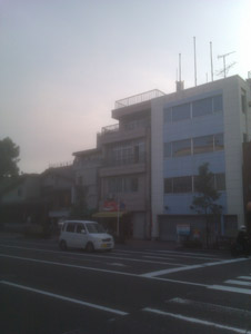 どうしよう。