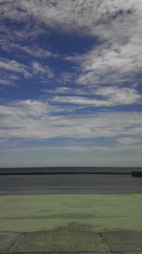 海