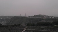 今頃