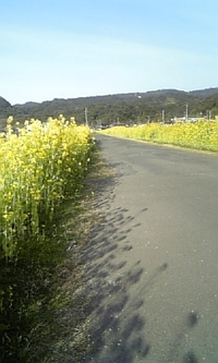 2009年02月17日