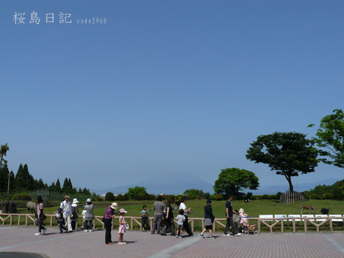 2008/5/3の桜島