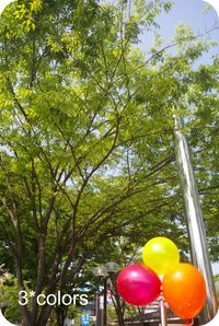 ★有難うございました♪　創。