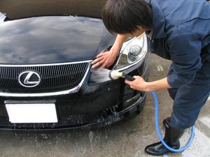 灰が降ったら早めに洗ってくださいね～～。