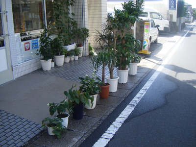 水浴び(^^)