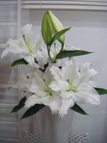 夏休みも終わり。。。