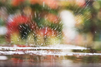 夕方までは、もってくれると思ったのに!雨
