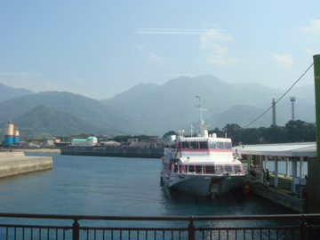 屋久杉タイムズ