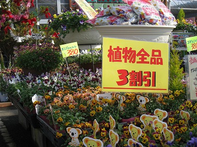 また加世田へ♪