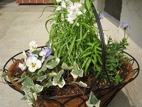 花いじり♪