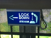 東京色々~♪