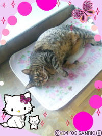 また。。。