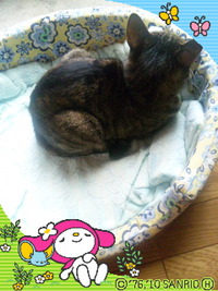 やっぱり寒いの??