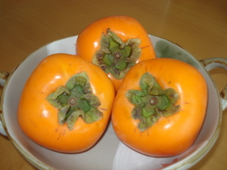 秋ですね！！