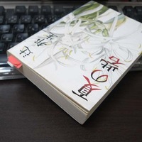 夏の砦/辻邦夫