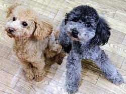 かわいい~(^∇^*)))♪