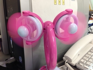 この夏の秘密兵器!!