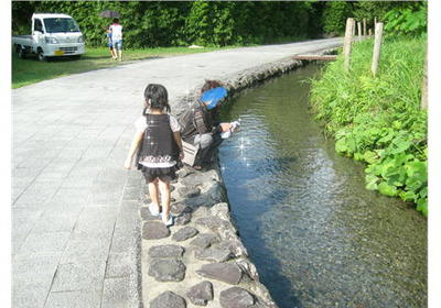 冷た、気持ちよかったョ!!