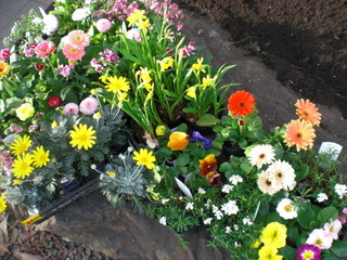 我が家の花壇♪