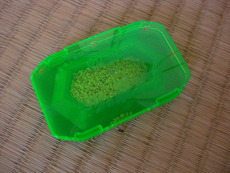 蟻の巣ころり・・・
