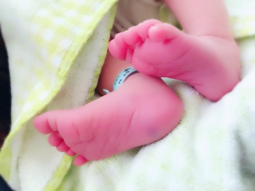 良いと聞いたら・・ 良いと聞いたら・・