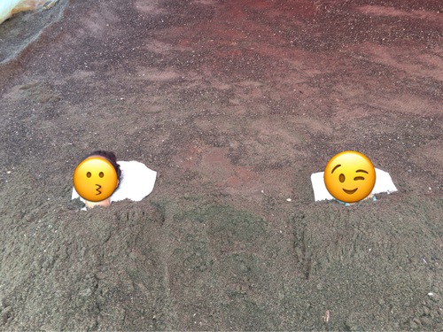 指宿へレッラゴー‼️
