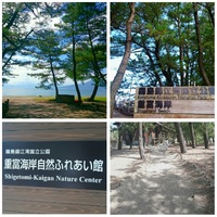 重富海岸(姶良市)