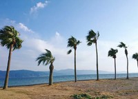 デイキャンプ～国分キャンプ海水浴場