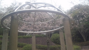 多賀山公園の桜