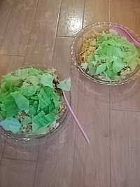  今日は彼氏といっしょだす 2020/09/12 15:03:12