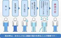 水分補給の工夫