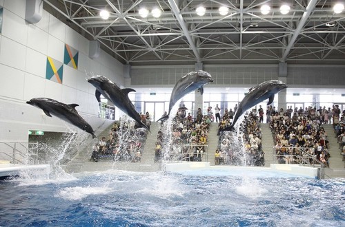 いおワールド かごしま水族館